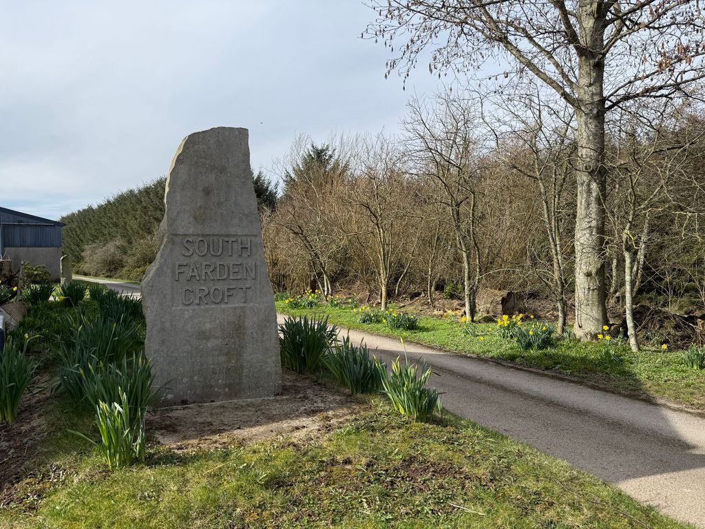 Property photo 3 of 40