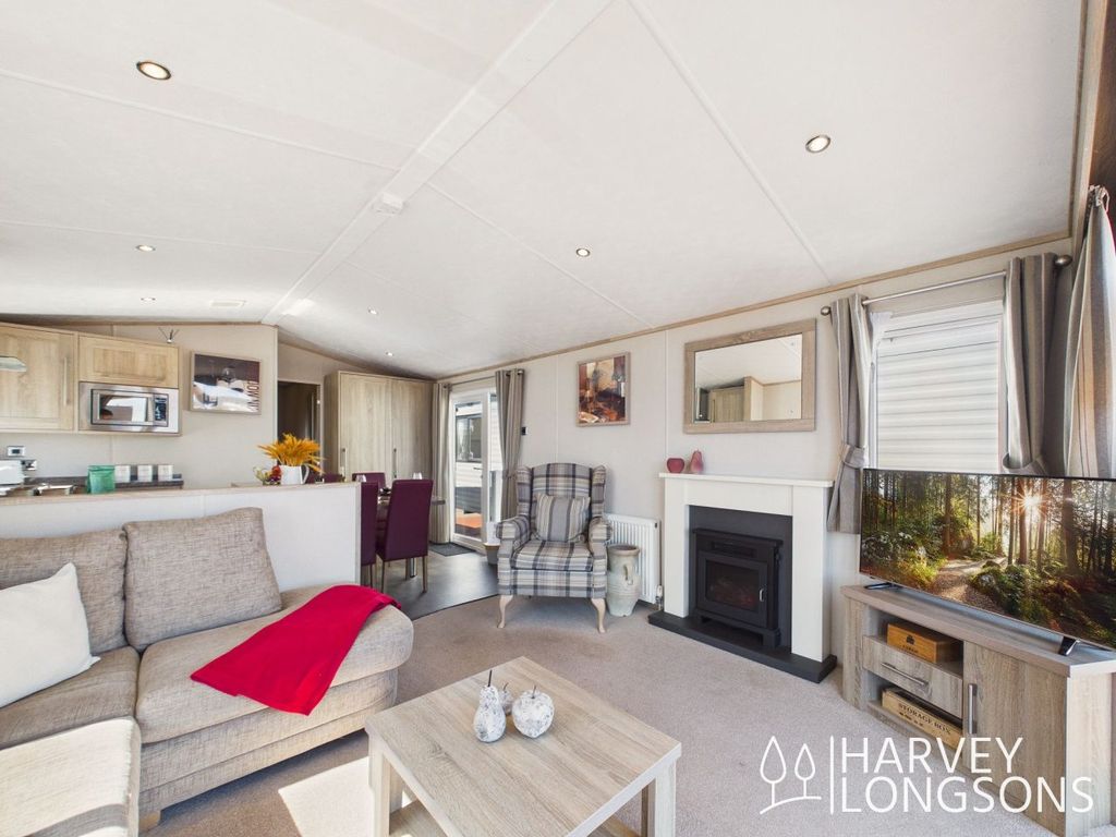 Property photo 1 of 18 Modern Living Room With Fireplace In Carnaby Lodge