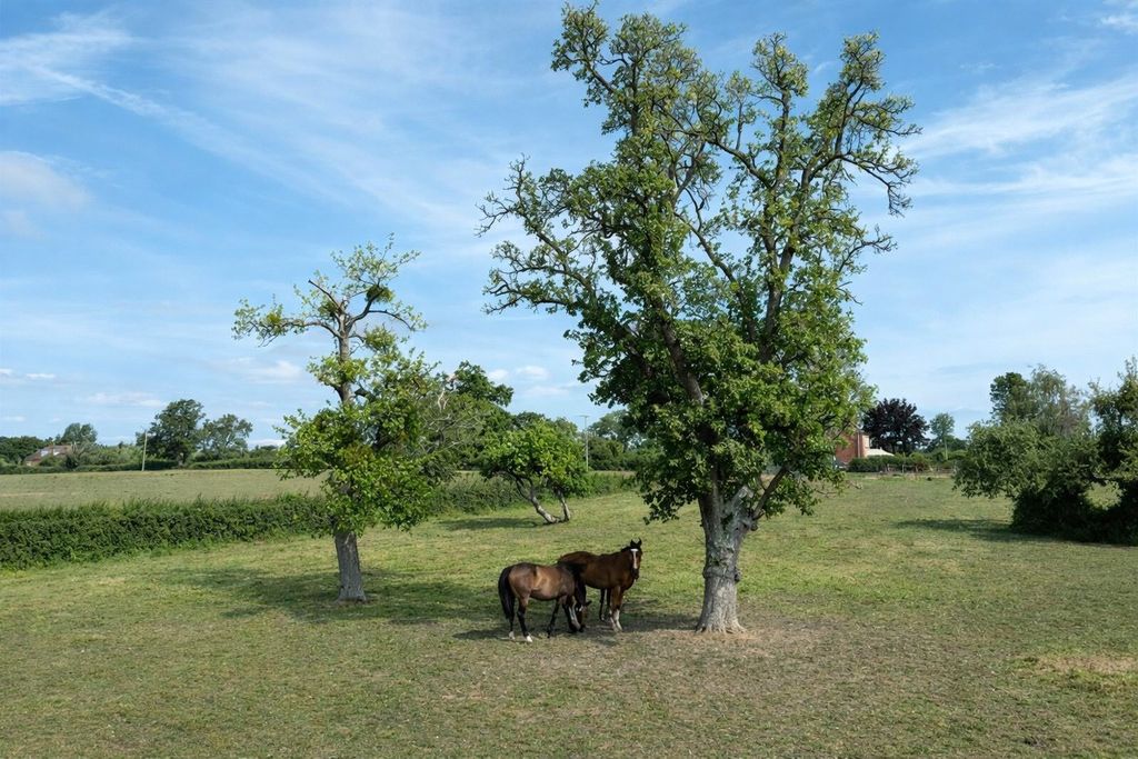 Property photo 2 of 21 Picture No. 20