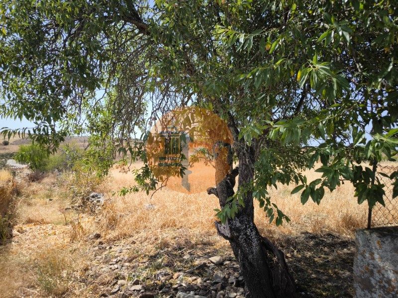 Property photo 1 of 49