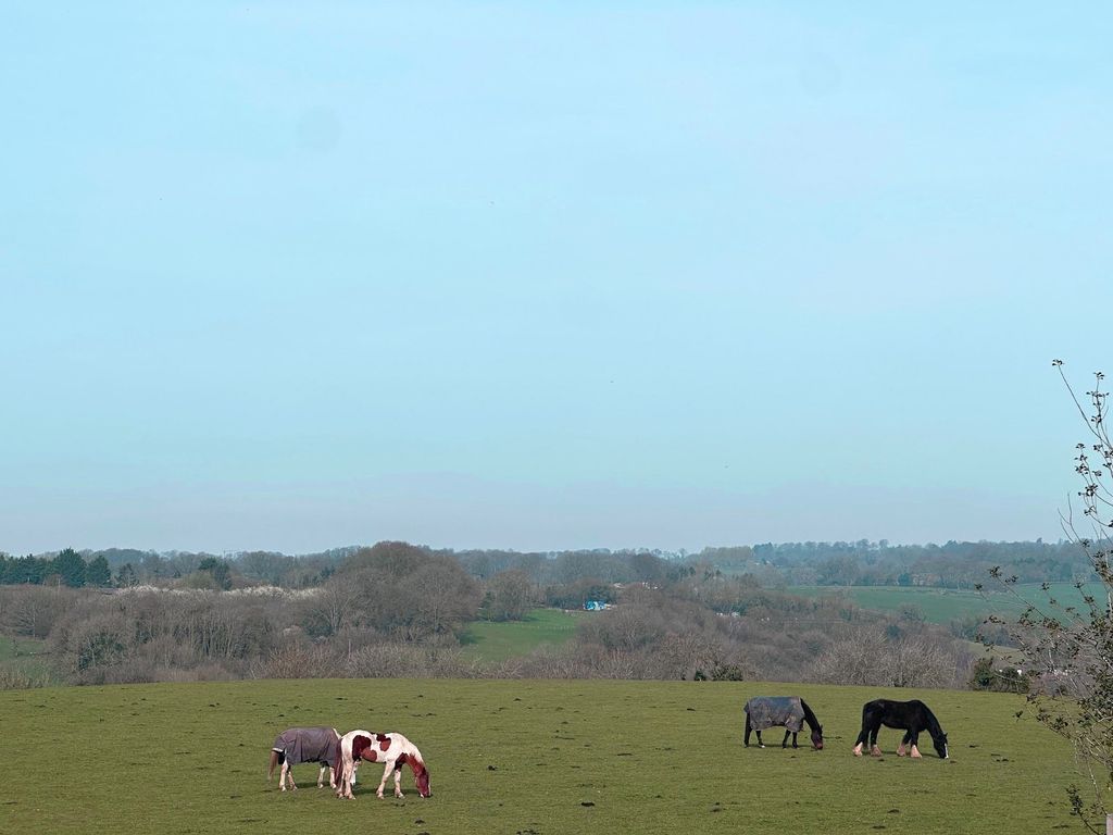 Property photo 2 of 14 Picture No. 26