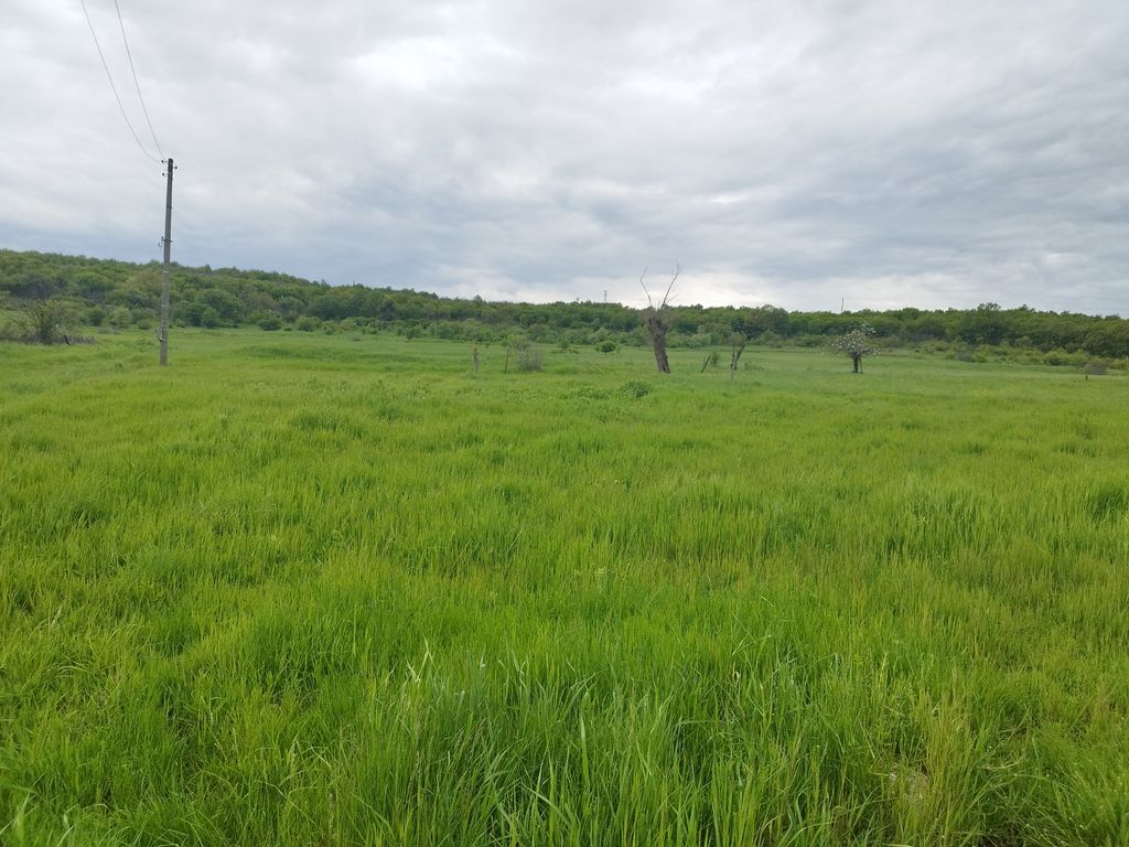 Property photo 3 of 5
