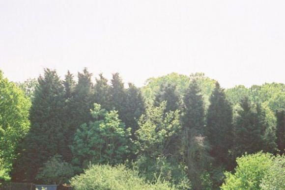 Property photo 3 of 5 Almer Road Garden.Jpg