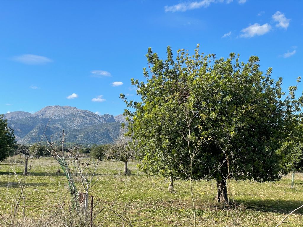 Property photo 3 of 3 3 Terreno Solar Moscari Selva Con Licencia Finca.Jpg