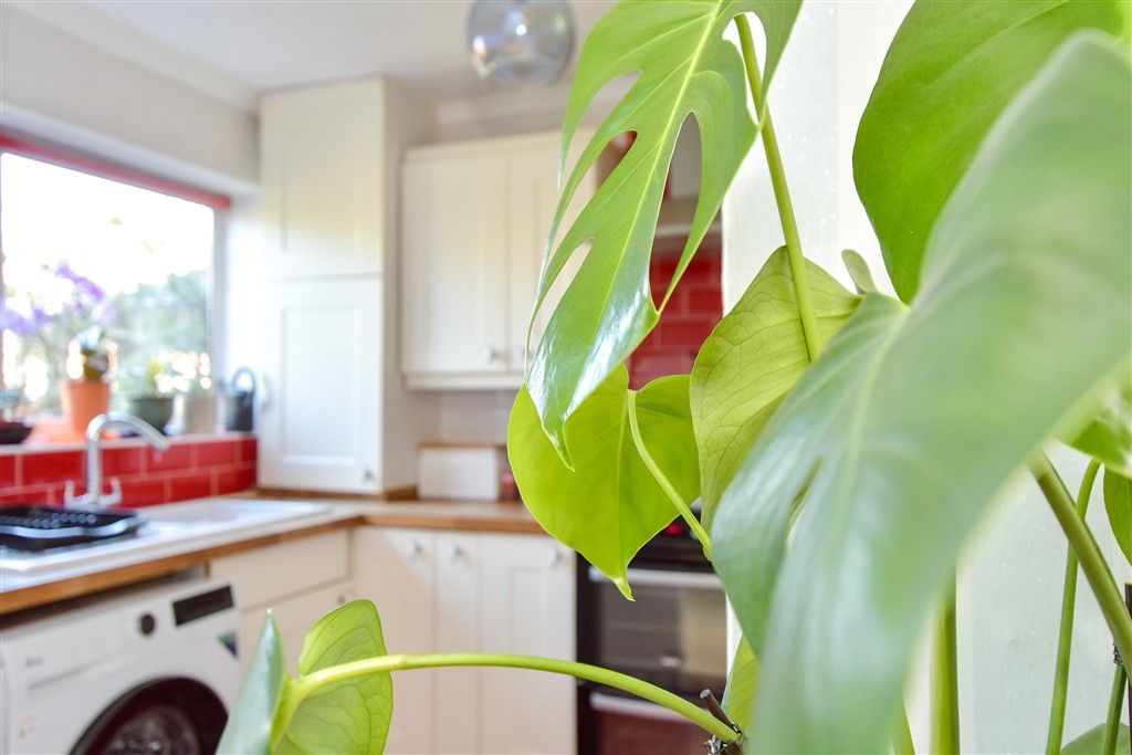 Property photo 2 of 16 Internal Lifestyle Photograph