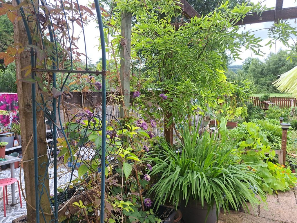 Property photo 2 of 27 Garden