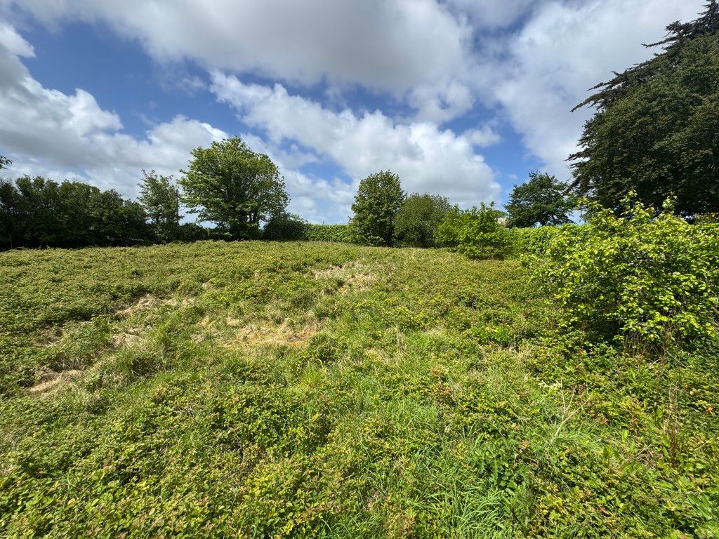 Property photo 1 of 3 View Of The Site