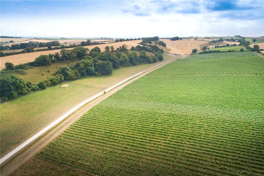 Property photo 2 of 10 Muston Vineyard