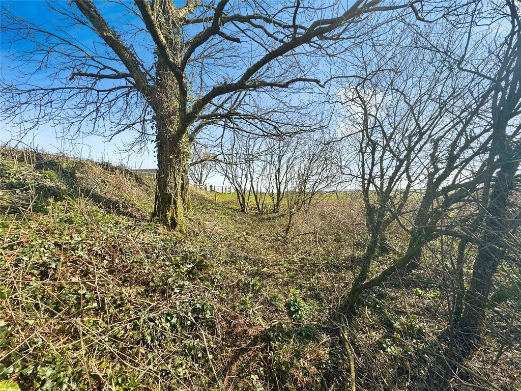 Additional image 7 of Land for saleMaxworthy, North Pertherwin, Launceston PL15