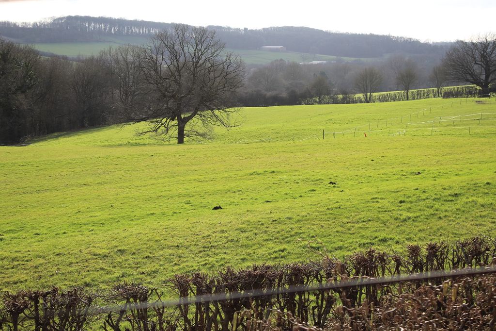 Property photo 2 of 14 Not Specified