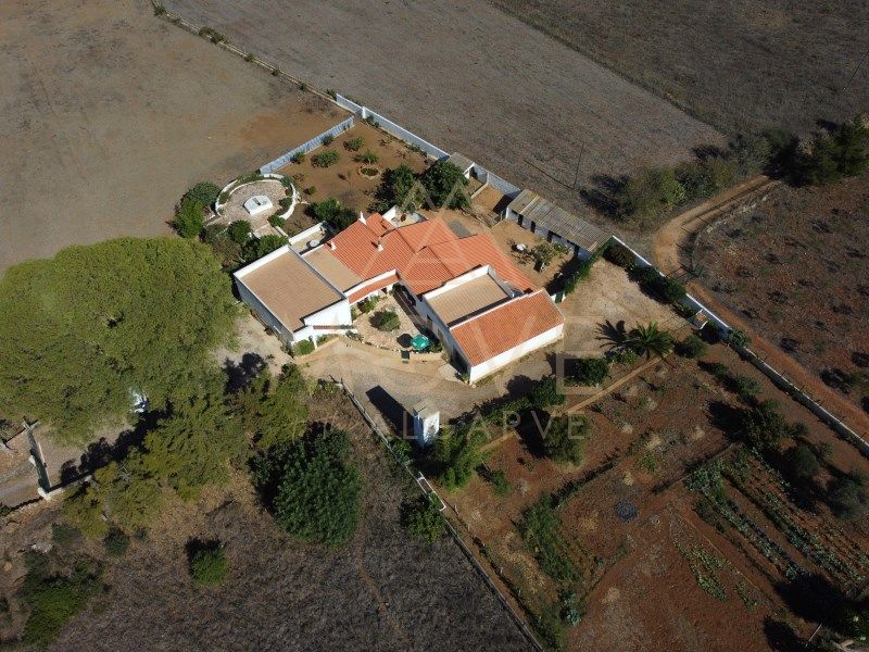 Property photo 3 of 99