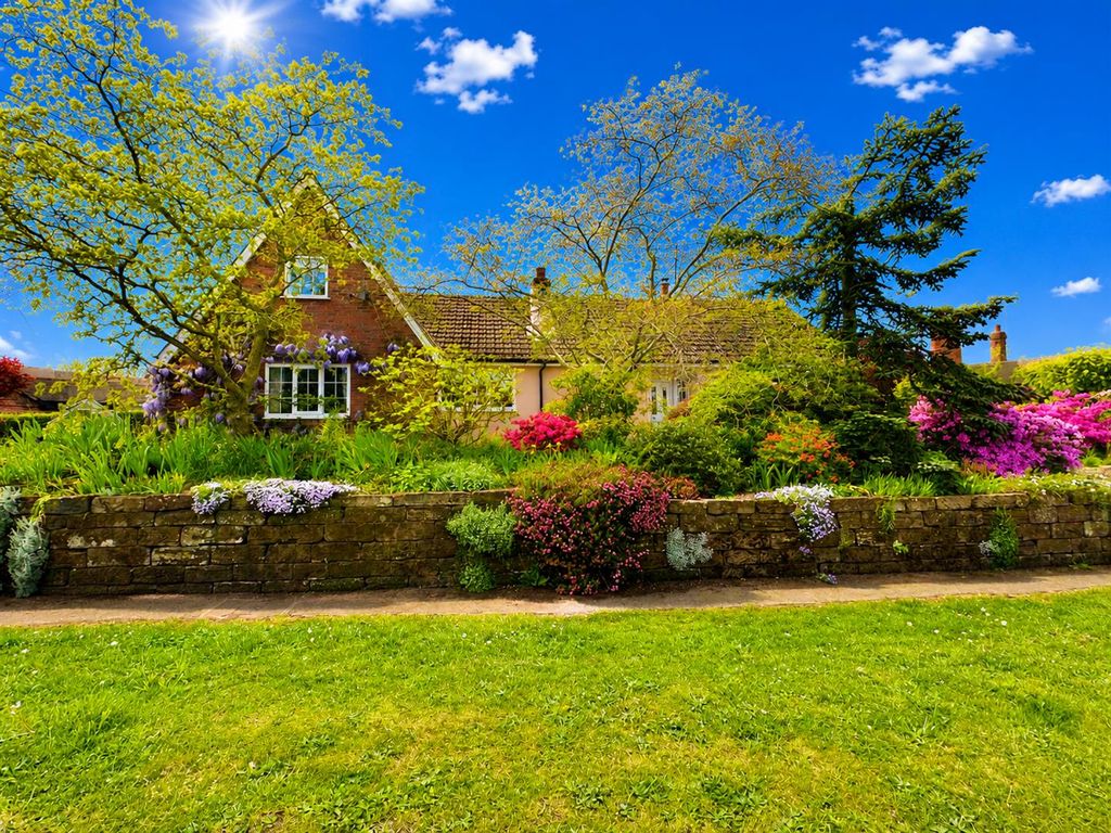 Property photo 1 of 50 20.Png