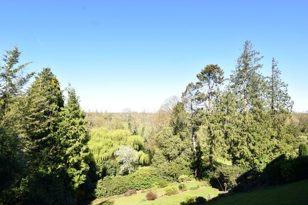 Property photo 3 of 19