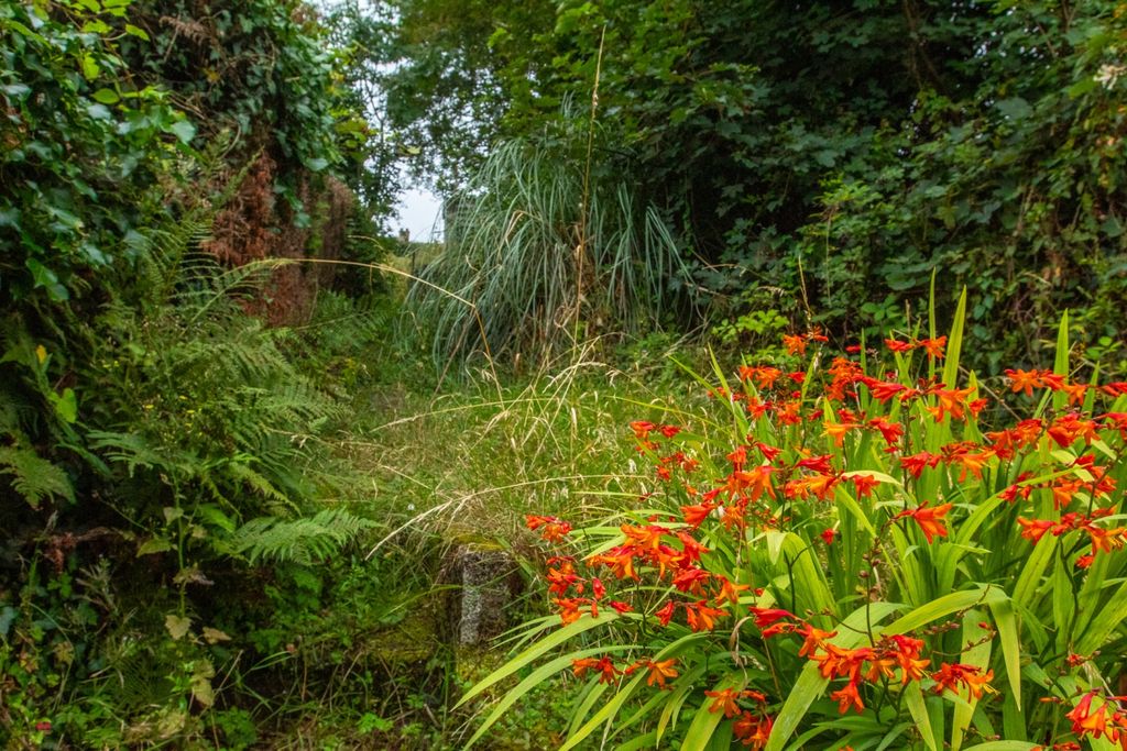 Property photo 2 of 13 38 Lower Bore Street Tps Bodmin Branch 01208 87272