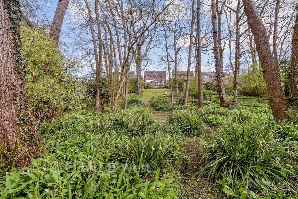 Property photo 1 of 21 Rear Garden