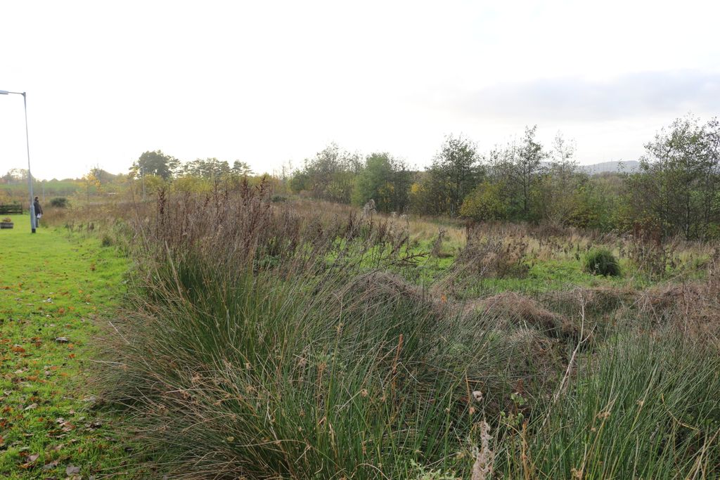 Additional image 4 of Land for saleDalscone Way, Dumfries DG1