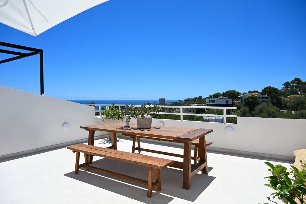 Property photo 1 of 20 Roof Top-Terrace (2)