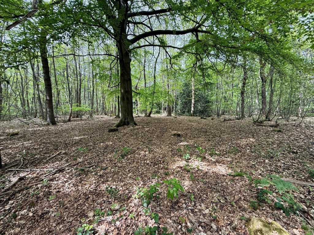 Property photo 2 of 5 Open Clearing