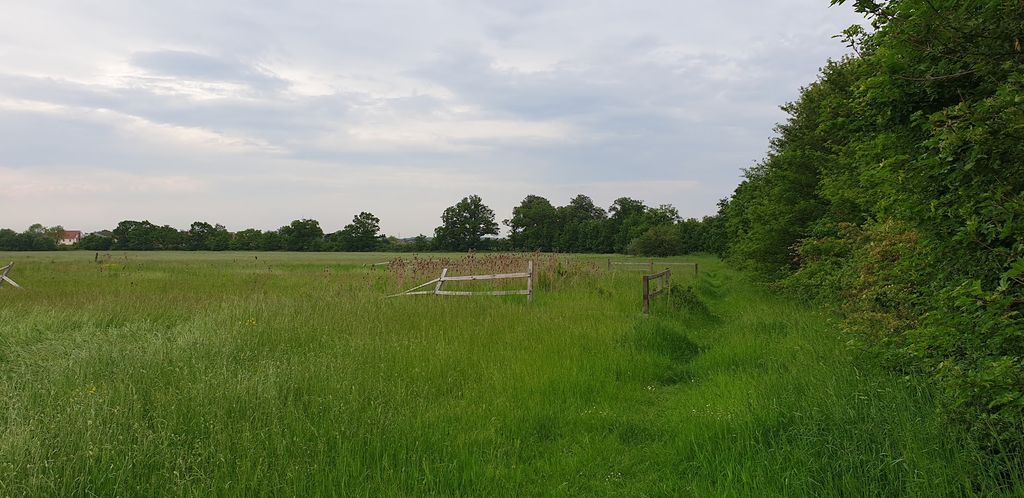 Additional image 12 of Land for saleHall Lane, Diss IP21