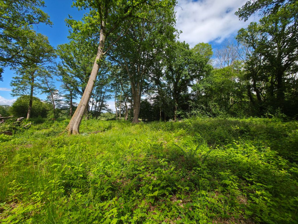Property photo 1 of 6 20260610_152212