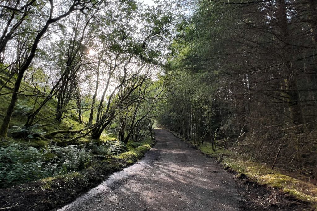 Additional image 10 of Land for saleWest Highland Way 2, Tyndrum, Crianlarich, Stirling FK20