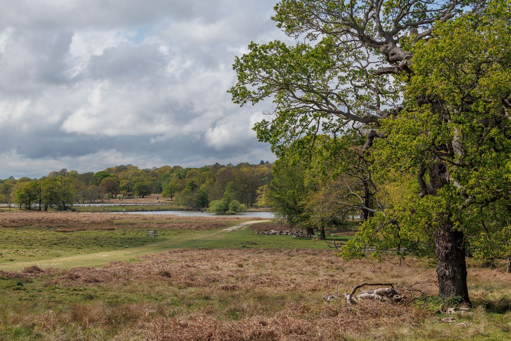 Property photo 3 of 20 338928 -  Sheenrdtw10-Jsouteyrat-11664.Jpg