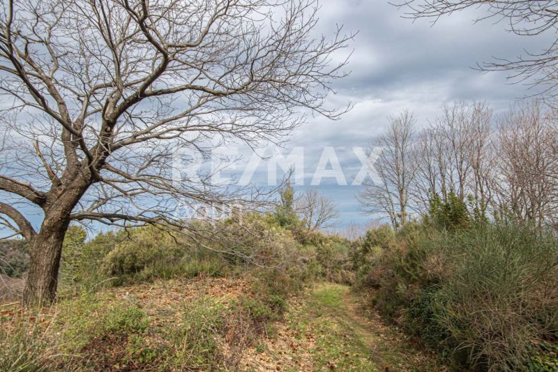 Property photo 3 of 39