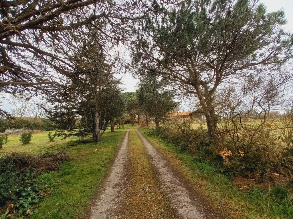 Property photo 2 of 31