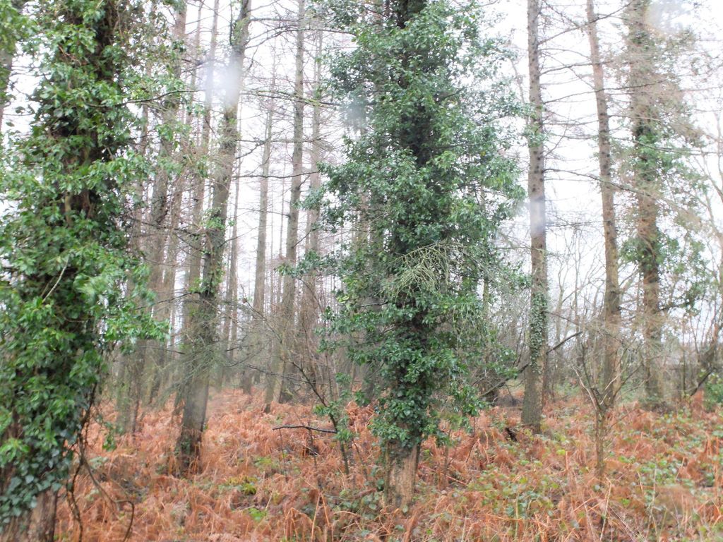 Property photo 1 of 4