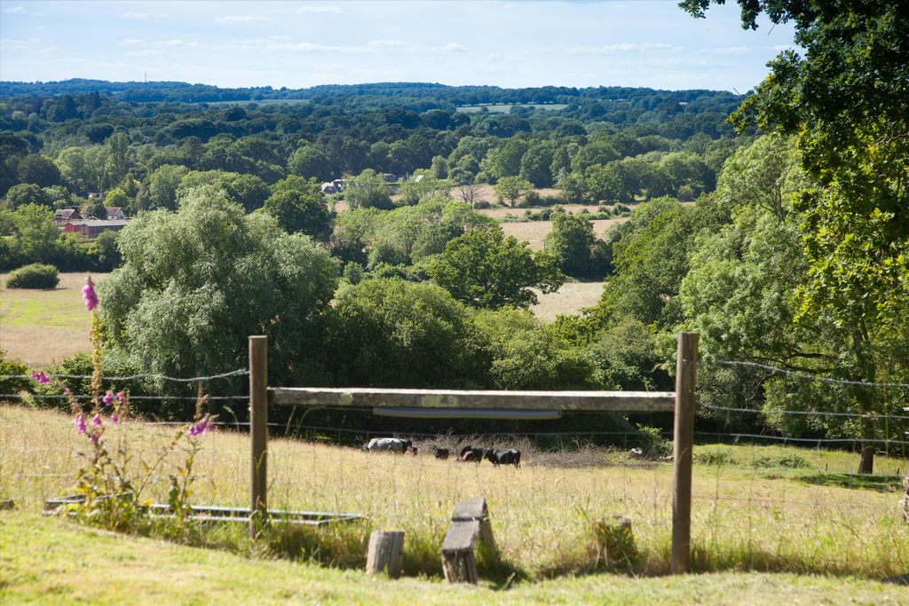 Property photo 3 of 20 Image