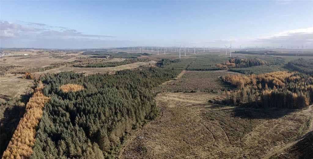 Property photo 2 of 12 Picture No. 03