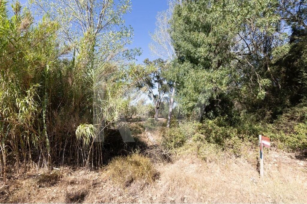 Property photo 3 of 25