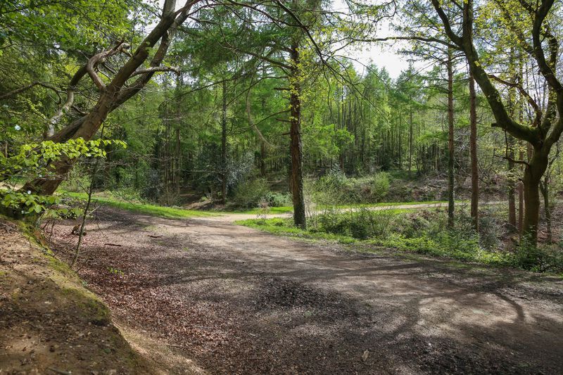 Property photo 3 of 12 Photo 11