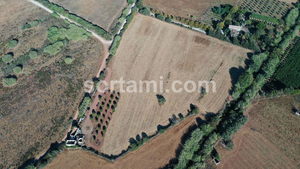 Property photo 3 of 4