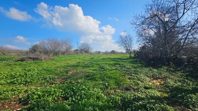 Property photo 2 of 29 Back Garden
