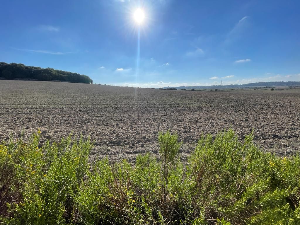 Property photo 3 of 3 Whatsapp Image 2023-10-11 At 12.39.22 (2).Jpeg