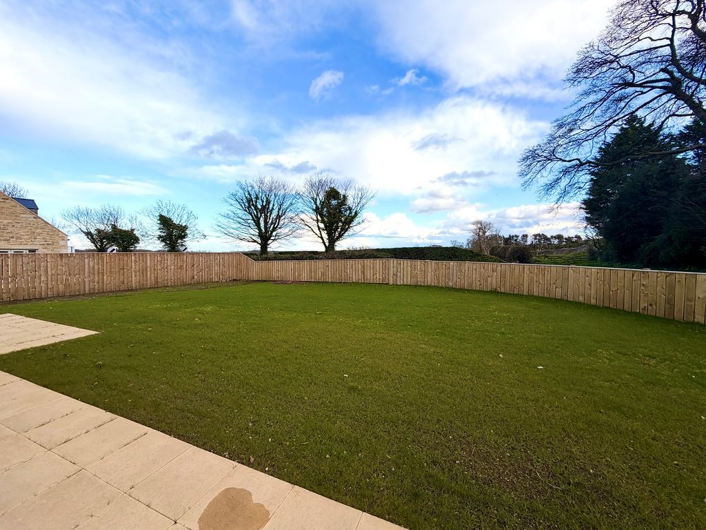 Property photo 3 of 12 Photo 15