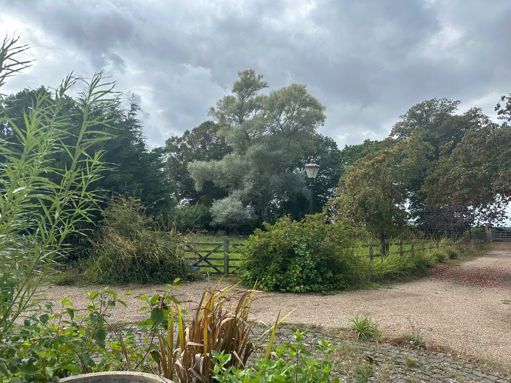 Property photo 2 of 38 Img_4793