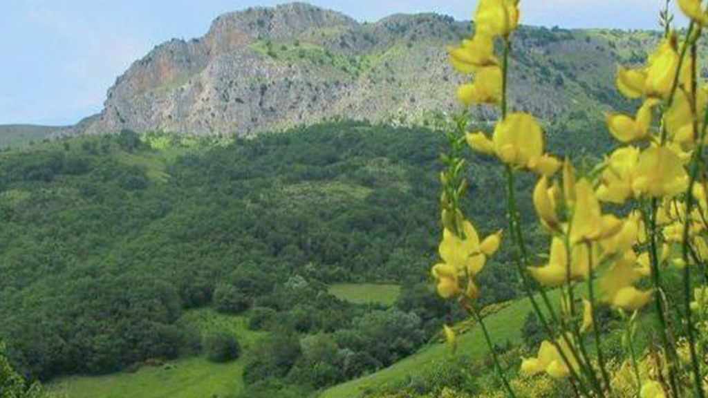 Property photo 2 of 24