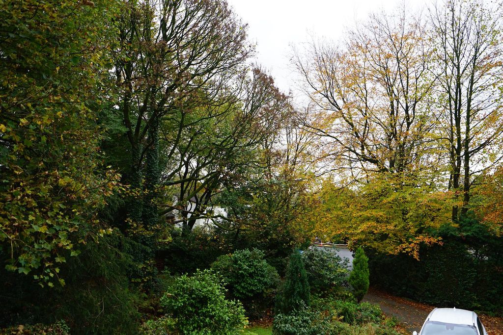 Property photo 2 of 12 Dsc01908A.Jpg