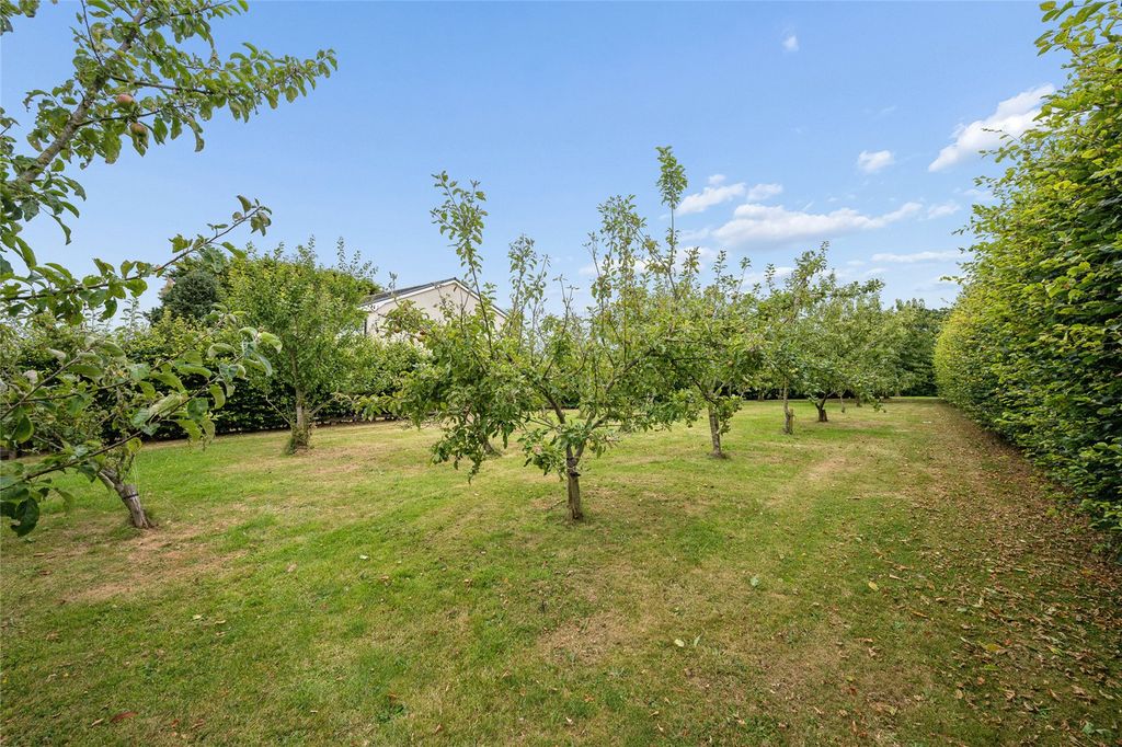 Property photo 3 of 45 Picture No. 13