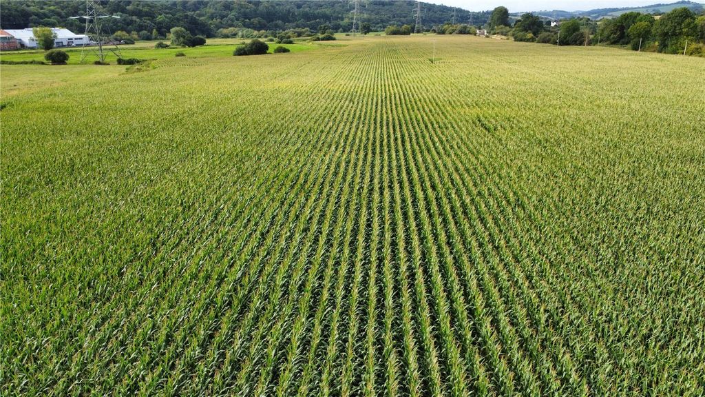 Property photo 3 of 6 Picture No. 09