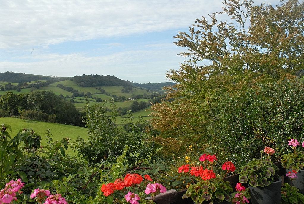 Additional image 28 of 4 bed detached house for saleLlanfyllin, Powys SY22