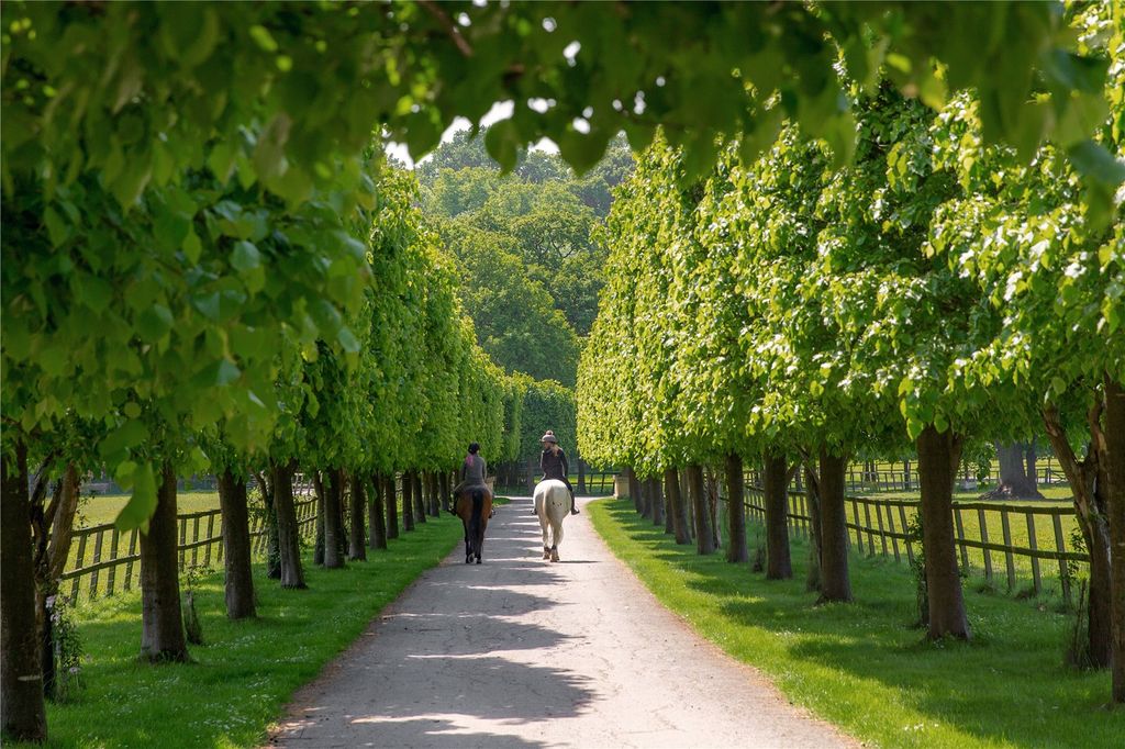 Property photo 2 of 34 Picture No. 32