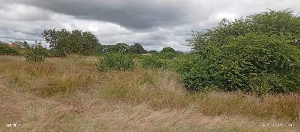 Property photo 3 of 13 Overcast Field With Tall Dry Grass And Green Shrubs Under A Stormy Sky; Distant Trees On The Horizon.