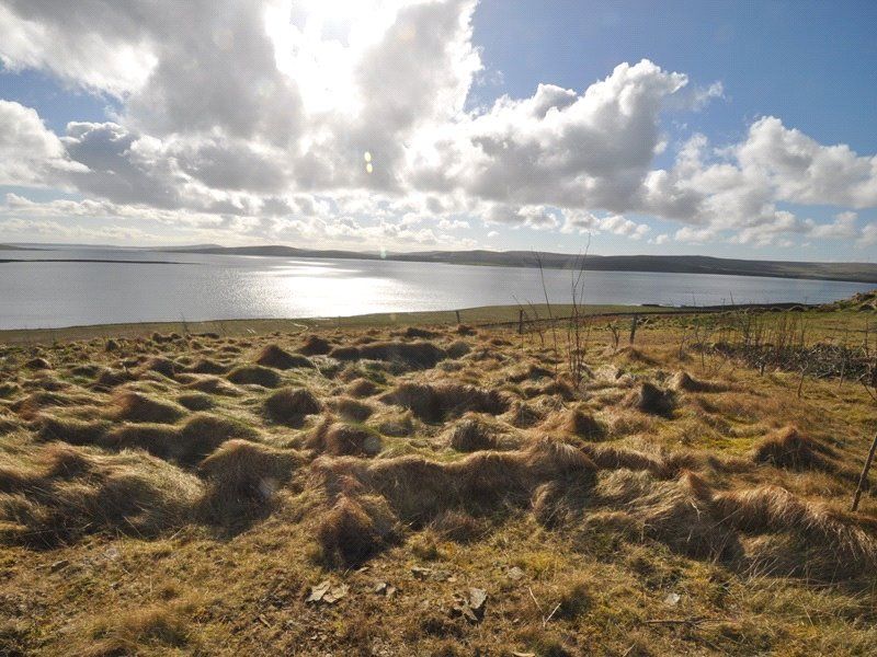 Property photo 2 of 5 View