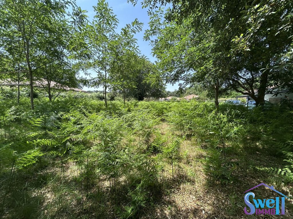 Property photo 1 of 4 Buildable And Serviced Land
