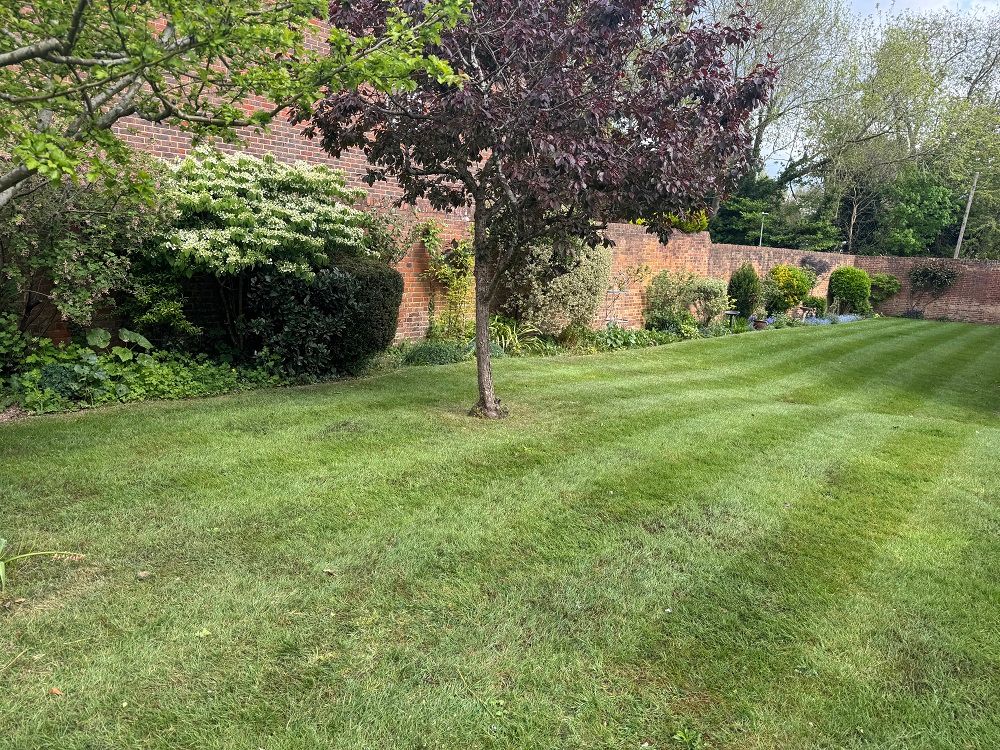 Property photo 2 of 12