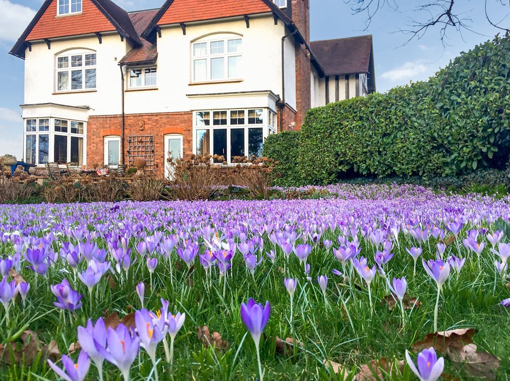 Additional image 32 of 6 bed detached house for saleQuarry Road, Oxted, Surrey RH8