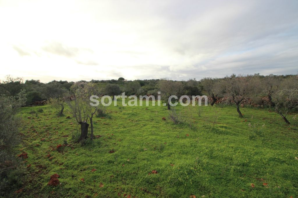 Property photo 1 of 4